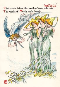 Daffodils small image